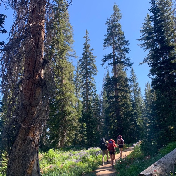 Meet your Posher, Jordan - Picture 1 of 1